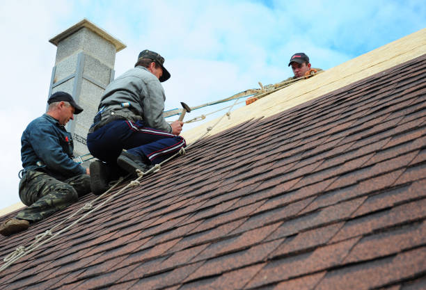 Best Storm Damage Roof Repair  in Westwego, LA